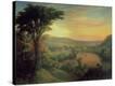 Stretched Canvas Print