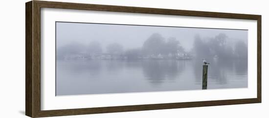 Mannum Ferry-Everlook Photography-Framed Photographic Print