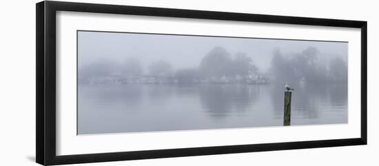 Mannum Ferry-Everlook Photography-Framed Photographic Print