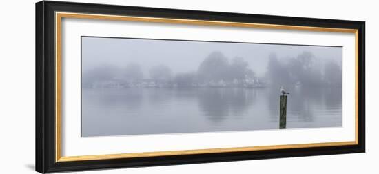 Mannum Ferry-Everlook Photography-Framed Photographic Print