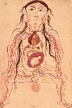 Anatomical Diagram of a Woman and Her Foetus-Mansour B. Eliyas Chirazi-Laminated Giclee Print