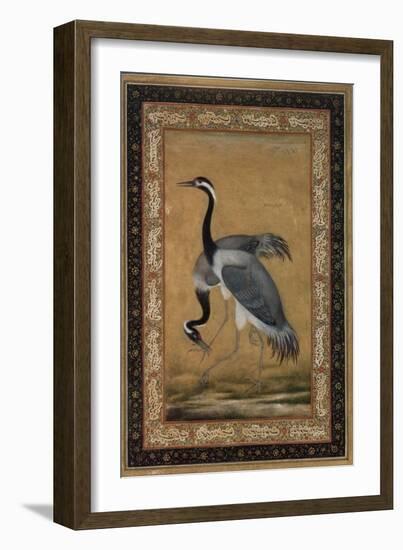 Mansur Brush Line Drawing of a Pair of Saras, India-null-Framed Giclee Print