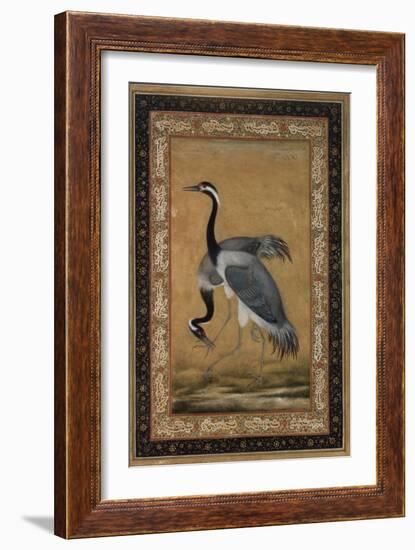 Mansur Brush Line Drawing of a Pair of Saras, India-null-Framed Giclee Print
