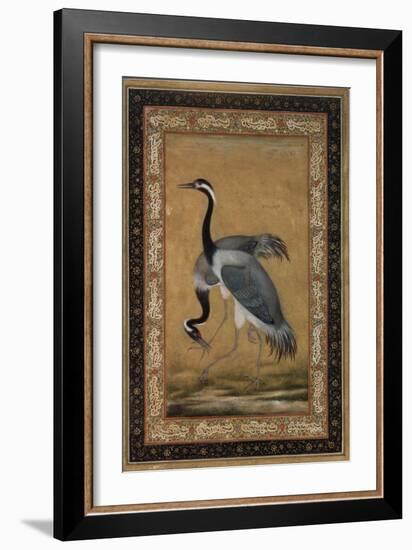 Mansur Brush Line Drawing of a Pair of Saras, India-null-Framed Giclee Print