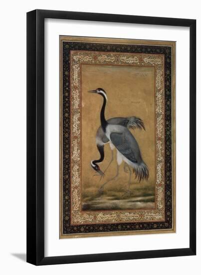 Mansur Brush Line Drawing of a Pair of Saras, India-null-Framed Giclee Print