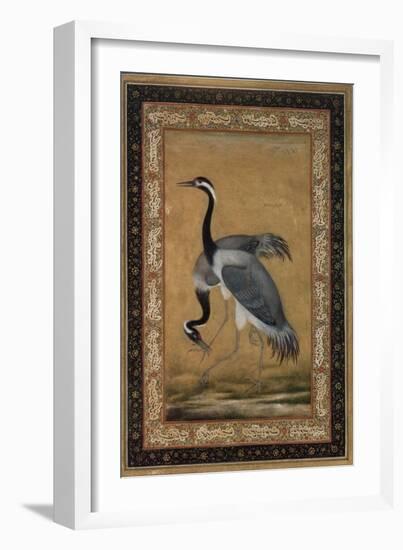 Mansur Brush Line Drawing of a Pair of Saras, India-null-Framed Giclee Print