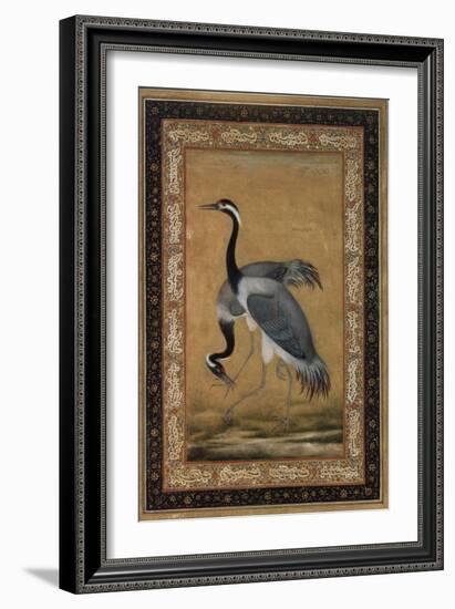 Mansur Brush Line Drawing of a Pair of Saras, India-null-Framed Giclee Print