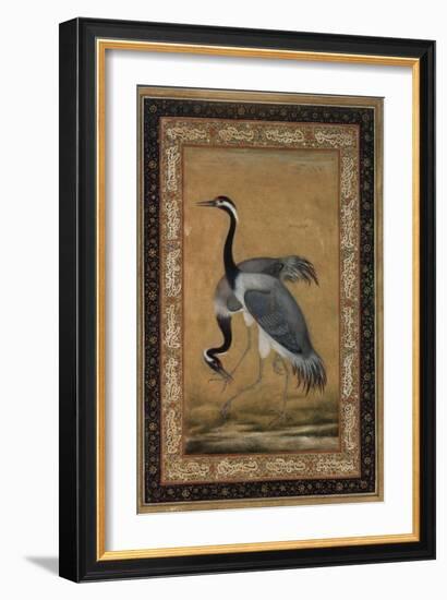 Mansur Brush Line Drawing of a Pair of Saras, India-null-Framed Giclee Print