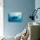 Manta and Diver on the Blue Background-Krzysztof Odziomek-Photographic Print displayed on a wall