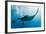 Manta and Diver on the Blue Background-Krzysztof Odziomek-Framed Photographic Print