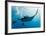 Manta and Diver on the Blue Background-Krzysztof Odziomek-Framed Photographic Print