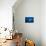 Manta Ray with Remora (Manta Birostris)-Reinhard Dirscherl-Mounted Photographic Print displayed on a wall