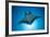 Manta Ray with Remora (Manta Birostris)-Reinhard Dirscherl-Framed Photographic Print