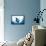 Manta Ray-Stuart Westmorland-Framed Premier Image Canvas displayed on a wall