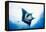 Manta Ray-Stuart Westmorland-Framed Premier Image Canvas