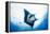 Manta Ray-Stuart Westmorland-Framed Premier Image Canvas