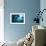 Manta Rays-Matthew Oldfield-Framed Photographic Print displayed on a wall