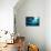 Manta Rays-Matthew Oldfield-Mounted Photographic Print displayed on a wall