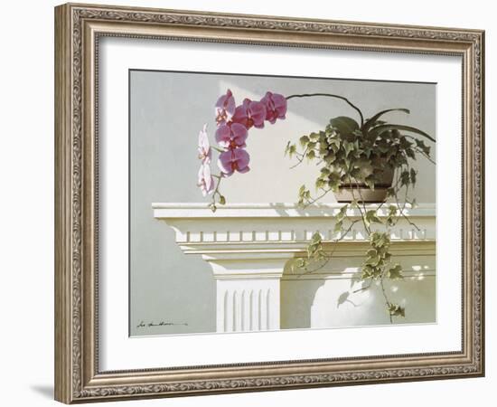 Mantelpiece Orchid-Zhen-Huan Lu-Framed Art Print