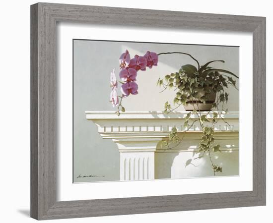 Mantelpiece Orchid-Zhen-Huan Lu-Framed Art Print