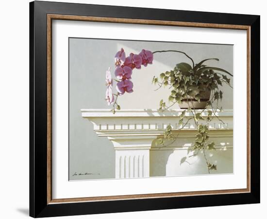 Mantelpiece Orchid-Zhen-Huan Lu-Framed Art Print