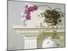 Mantelpiece Orchid-Zhen-Huan Lu-Mounted Art Print