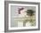 Mantelpiece Orchid-Zhen-Huan Lu-Framed Giclee Print