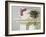 Mantelpiece Orchid-Zhen-Huan Lu-Framed Giclee Print