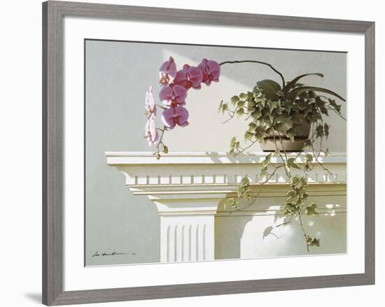 Mantelpiece Orchid-Zhen-Huan Lu-Framed Giclee Print