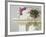 Mantelpiece Orchid-Zhen-Huan Lu-Framed Giclee Print