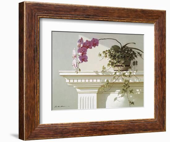 Mantelpiece Orchid-Zhen-Huan Lu-Framed Art Print