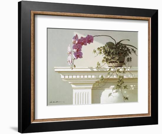 Mantelpiece Orchid-Zhen-Huan Lu-Framed Art Print