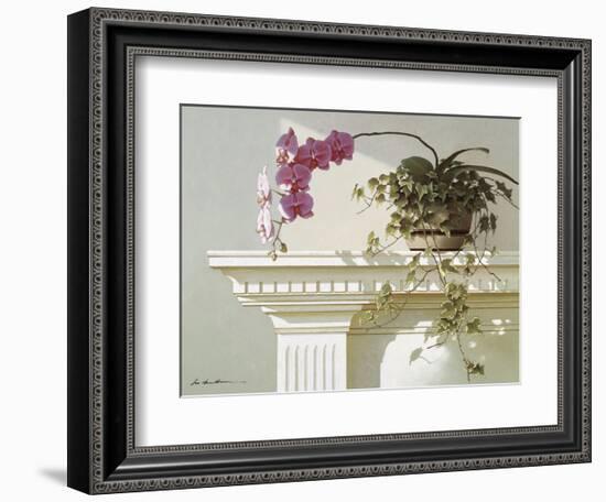 Mantelpiece Orchid-Zhen-Huan Lu-Framed Art Print