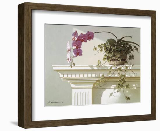 Mantelpiece Orchid-Zhen-Huan Lu-Framed Art Print