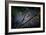 Mantis in the Rain-Antonio Grambone-Framed Photographic Print