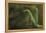 Mantis Religiosa (Praying Mantis) - Forelegs-Paul Starosta-Framed Premier Image Canvas