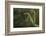 Mantis Religiosa (Praying Mantis) - Forelegs-Paul Starosta-Framed Photographic Print