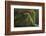 Mantis Religiosa (Praying Mantis) - Forelegs-Paul Starosta-Framed Photographic Print