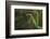 Mantis Religiosa (Praying Mantis) - Forelegs-Paul Starosta-Framed Photographic Print