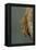 Mantis Religiosa (Praying Mantis) - Hatching-Paul Starosta-Framed Premier Image Canvas