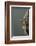 Mantis Religiosa (Praying Mantis) - Hatching-Paul Starosta-Framed Photographic Print