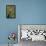 Mantis Religiosa (Praying Mantis) --Paul Starosta-Framed Premier Image Canvas displayed on a wall