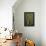 Mantis Religiosa (Praying Mantis)-Paul Starosta-Framed Premier Image Canvas displayed on a wall