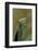 Mantis Religiosa (Praying Mantis) --Paul Starosta-Framed Photographic Print