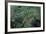 Mantis Religiosa (Praying Mantis)-Paul Starosta-Framed Photographic Print