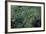 Mantis Religiosa (Praying Mantis)-Paul Starosta-Framed Photographic Print