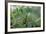 Mantis Religiosa (Praying Mantis)-Paul Starosta-Framed Photographic Print