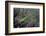 Mantis Religiosa (Praying Mantis)-Paul Starosta-Framed Photographic Print