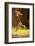 Mantis, 'Wandering Violin Mantis', Female, Camouflage, Hunt, Attack Position-Harald Kroiss-Framed Photographic Print