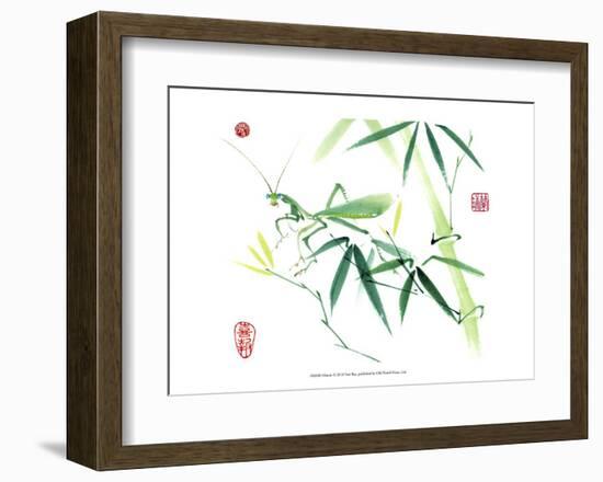 Mantis-Nan Rae-Framed Art Print